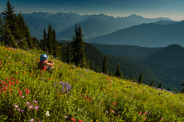 21 Reasons To Visit Mountain Trek in Beautiful British Columbia