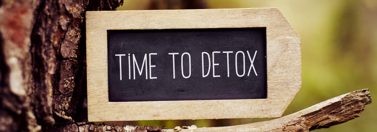 closeup of a label-shaped chalkboard with the text time to detox written in it, placed on the branch of a pine tree